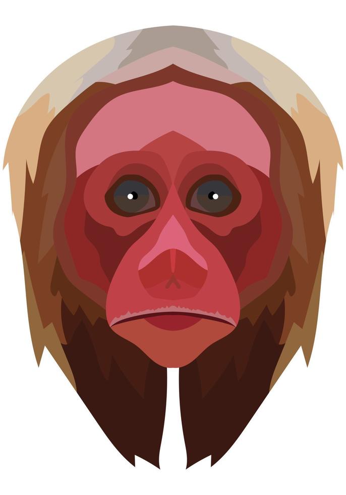 uakari face. The muzzle of a Cacajao monkey is depicted. Bright portrait on a white background. predictive graphics. animal logo. vector