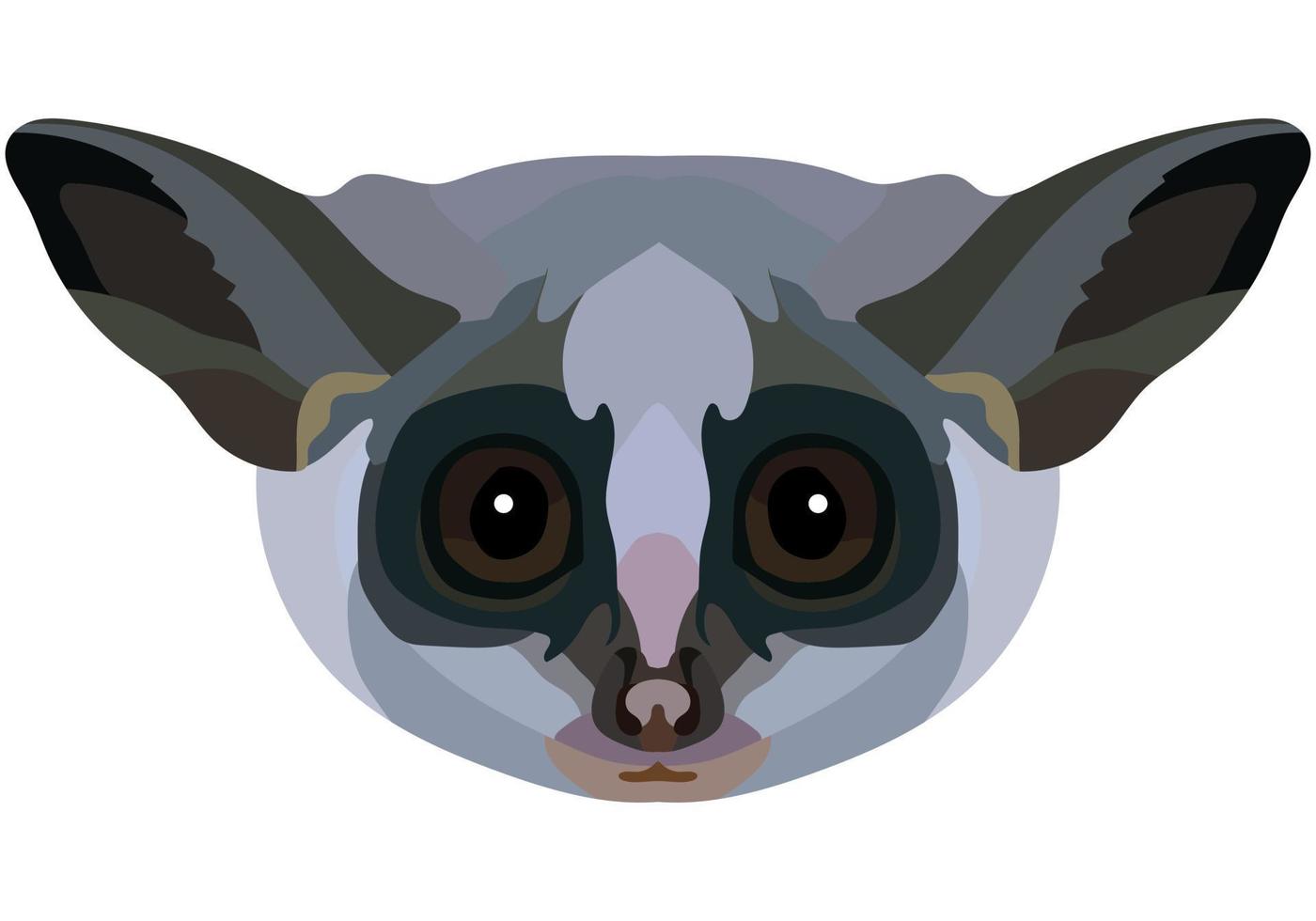 Galago face. The muzzle of a cute small mammal is depicted. Bright portrait on a white background. predictive graphics. animal logo. vector