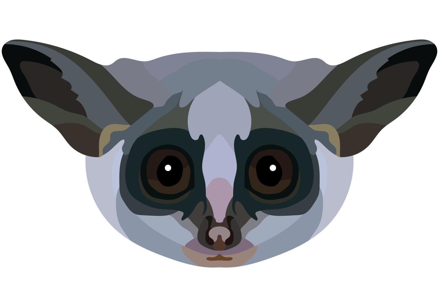 Galago face. The muzzle of a cute small mammal is depicted. Bright portrait on a white background. predictive graphics. animal logo. vector