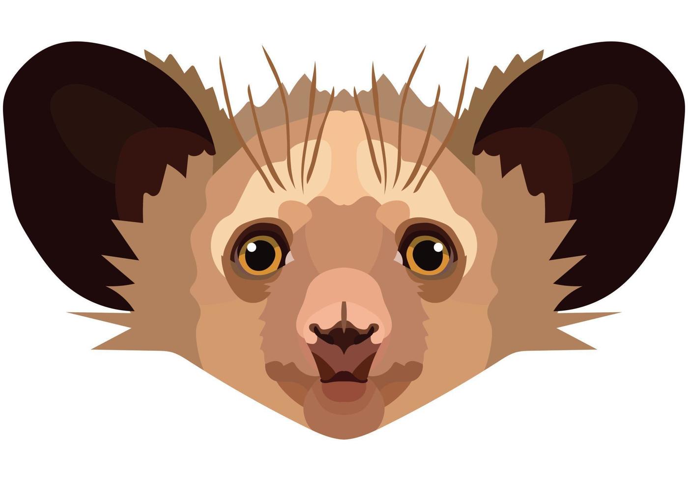 aye face. The muzzle of a cute aye-aye mammal is depicted. Bright portrait on a white background. predictive graphics. animal logo. vector