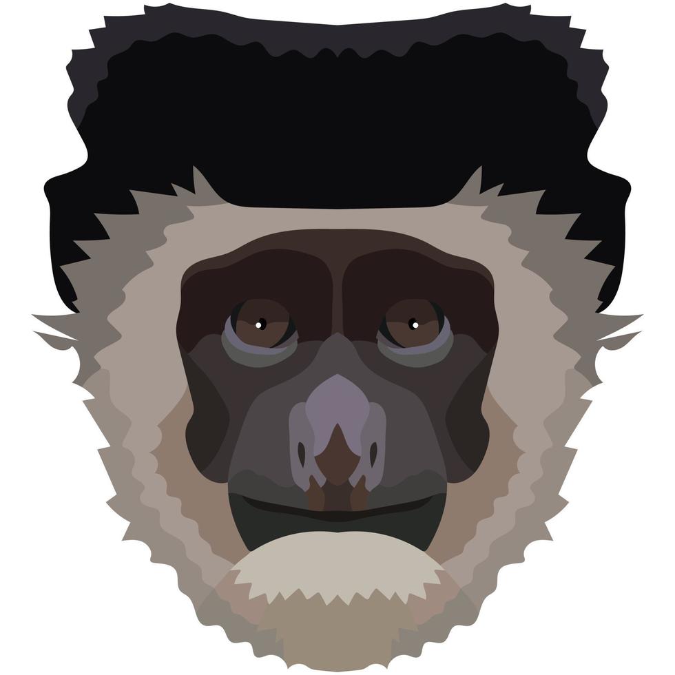 Colobus face. The muzzle of a monkey is depicted. Bright portrait on a white background. predictive graphics. animal logo. vector