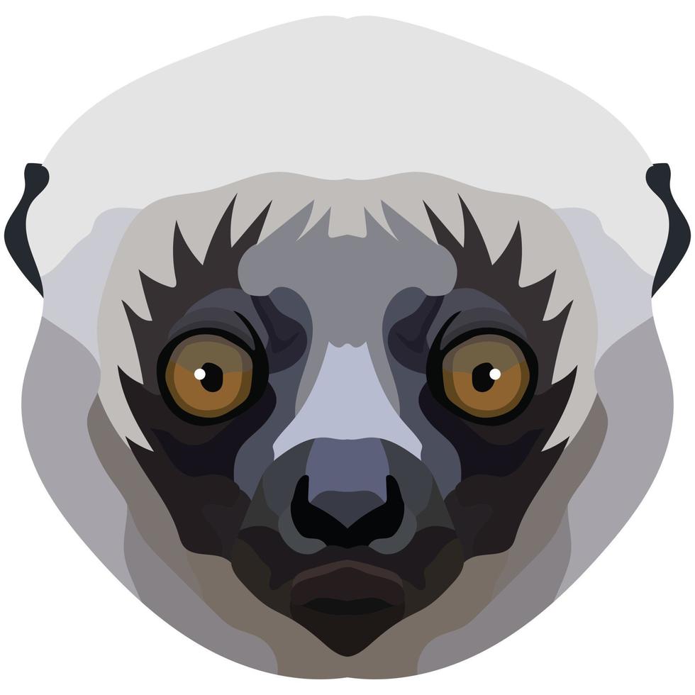sifaka face. The muzzle of a cute Madagascar mammal is depicted. Bright portrait on a white background. predictive graphics. animal logo. vector