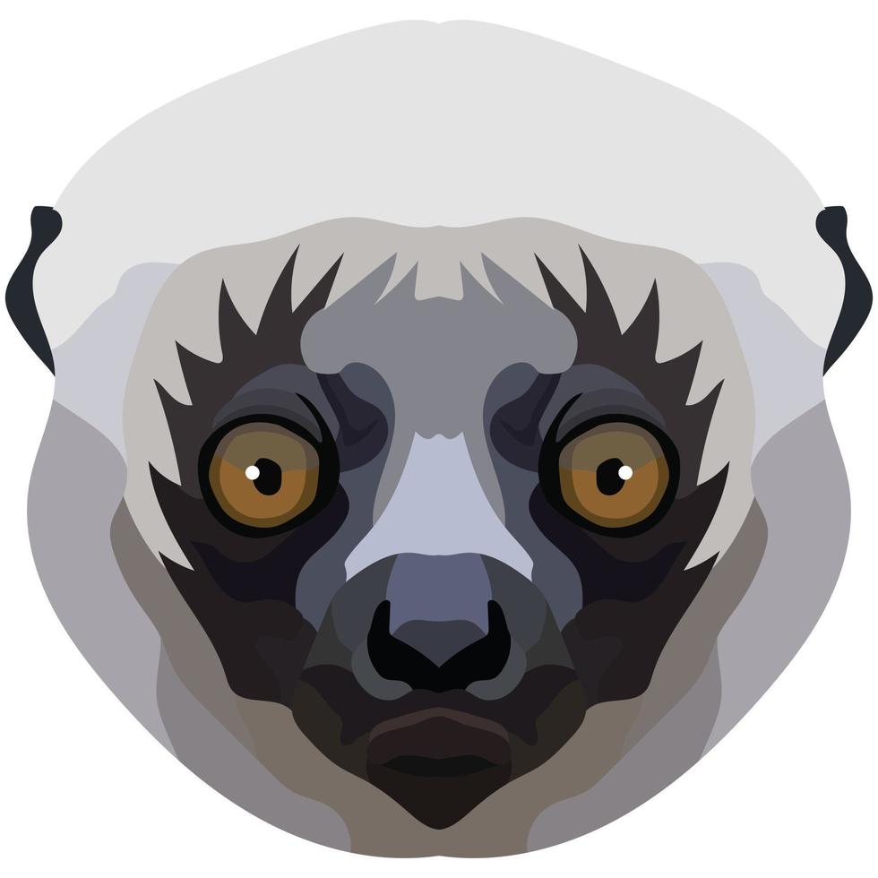 sifaka rostro. el bozal de un linda Madagascar mamífero es representado. brillante retrato en un blanco antecedentes. profético gráficos. animal logo. vector