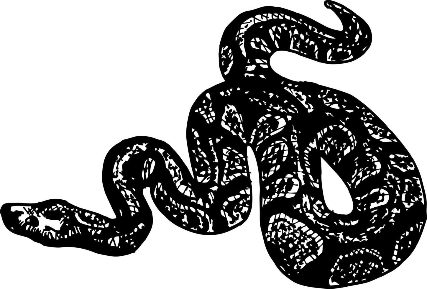 Sketch python big snake. Hand Drawn ink illustration. Tattoo old school tattooing style Ink. vector