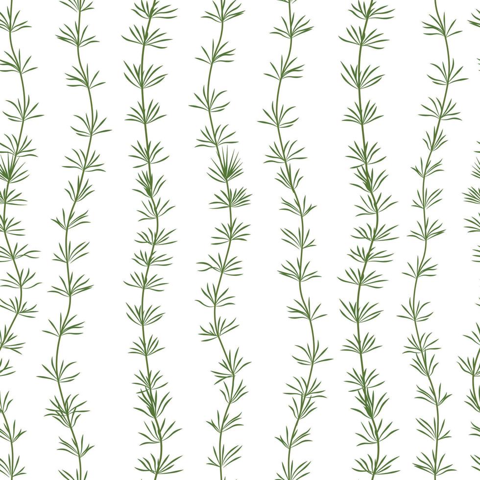 hornwort es un verde algas. el submarino mundo de el océano. acuario. un marina planta . vector ilustración aislado en un blanco antecedentes.