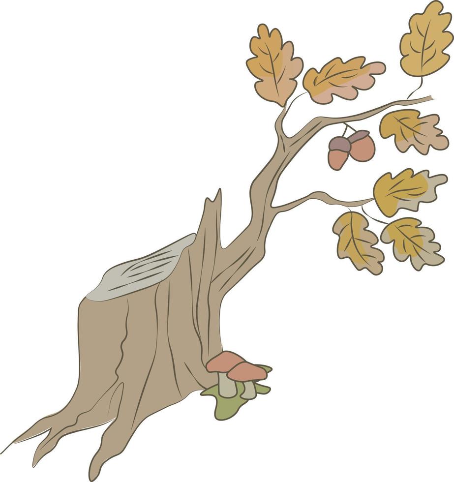 Autumn stump with acorns and oak leaves. vector