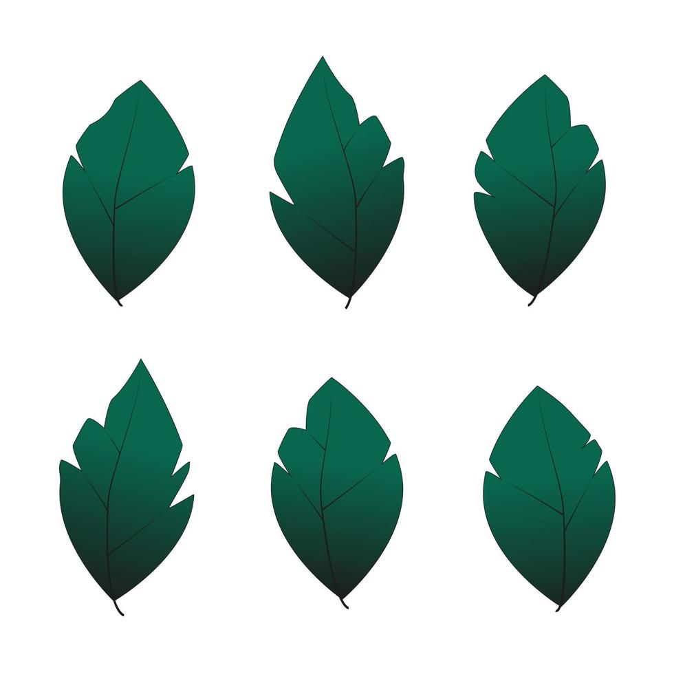 Set Gradient green Leaf. Asset for stamp, flourish design, pattern, cards, montage or collage. Vector botanical illustration