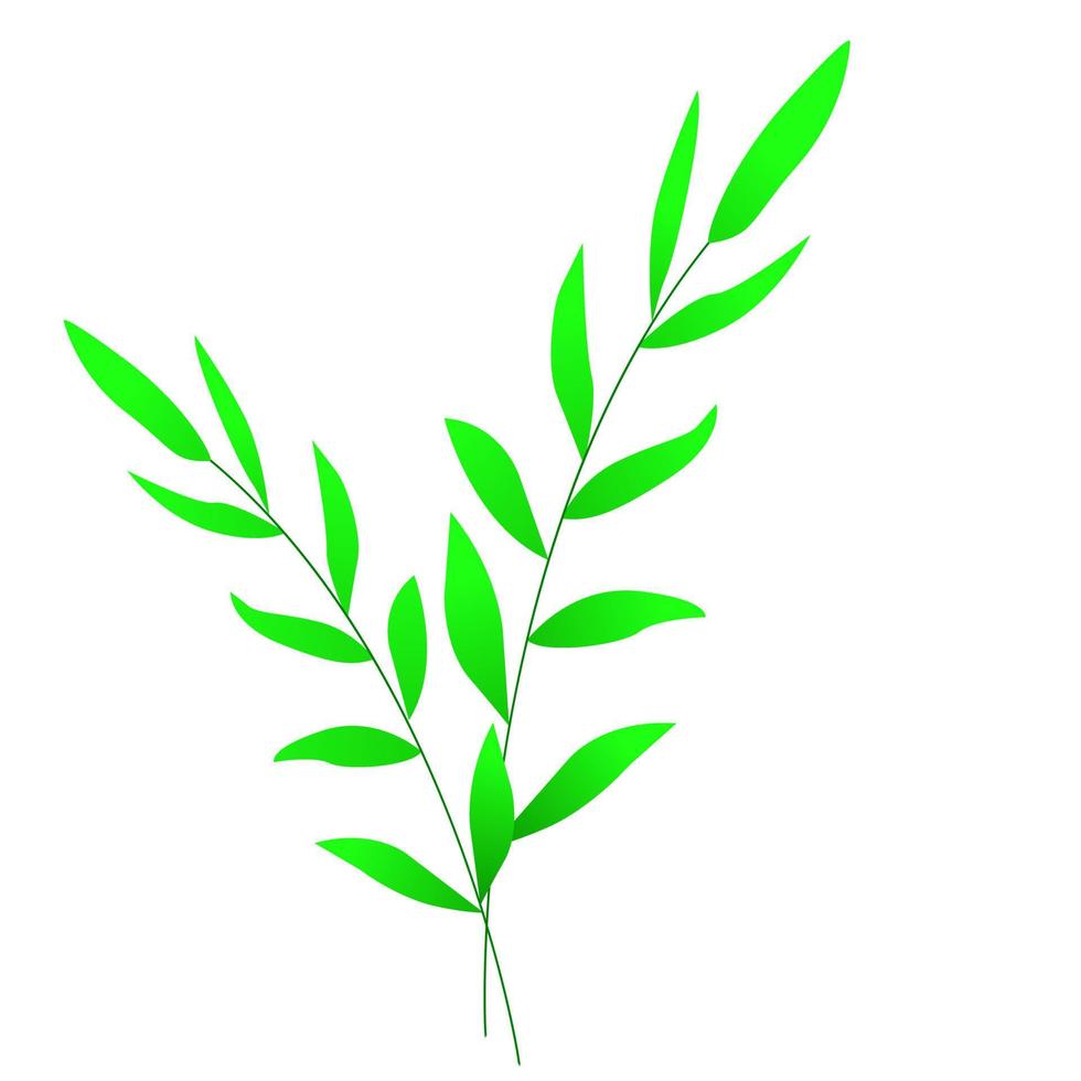 Branch with green leaves. For fabrics, background , wall paper, wrapping, poster or banner, cover or leaves. Vector illustration