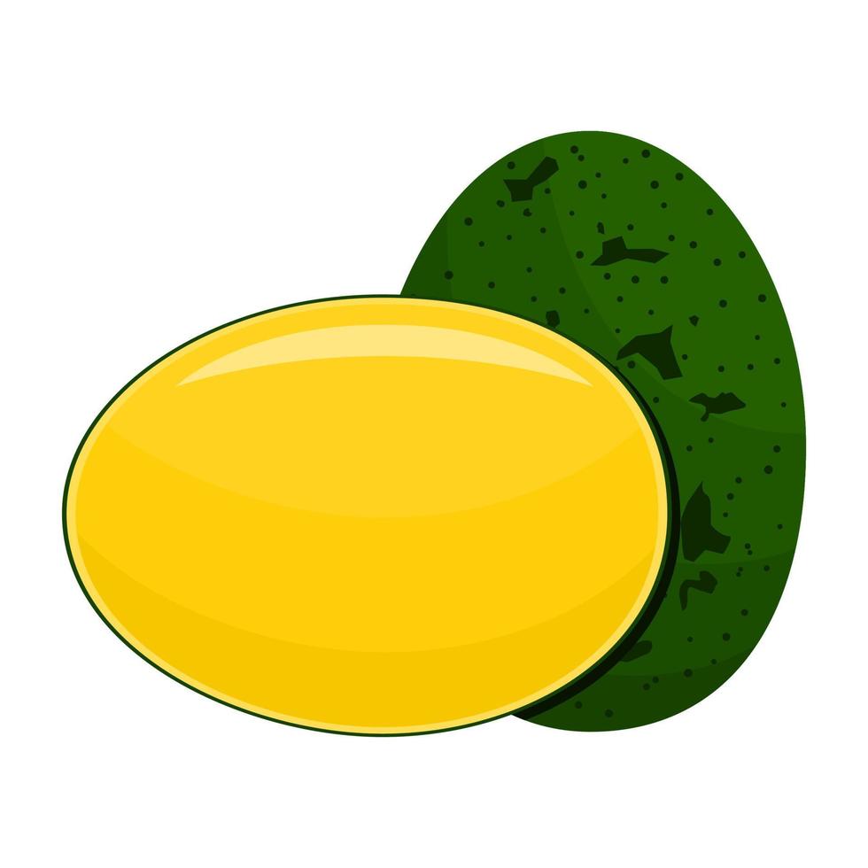 Bacang fruit Is A Fruit That Is Still Related To Mangoes. The Taste Of This Fruit Is Sour And Sweet vector