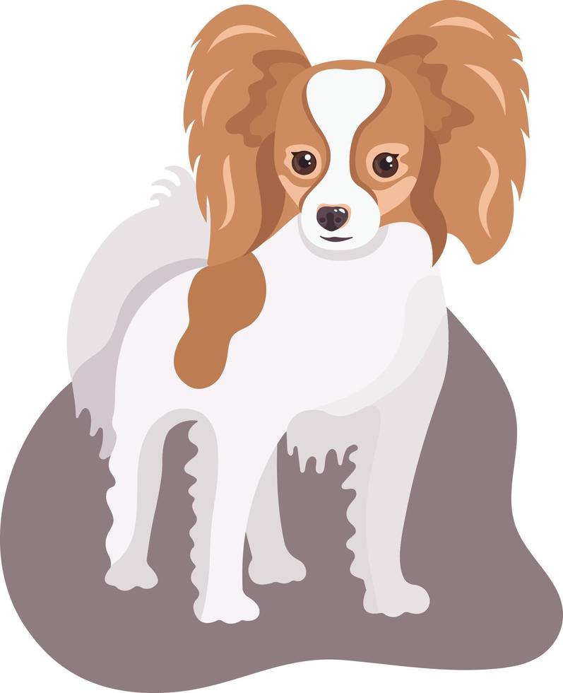 Cartoon papillon dog isolated on transparent background. Cute vector little pet. Domestic animal