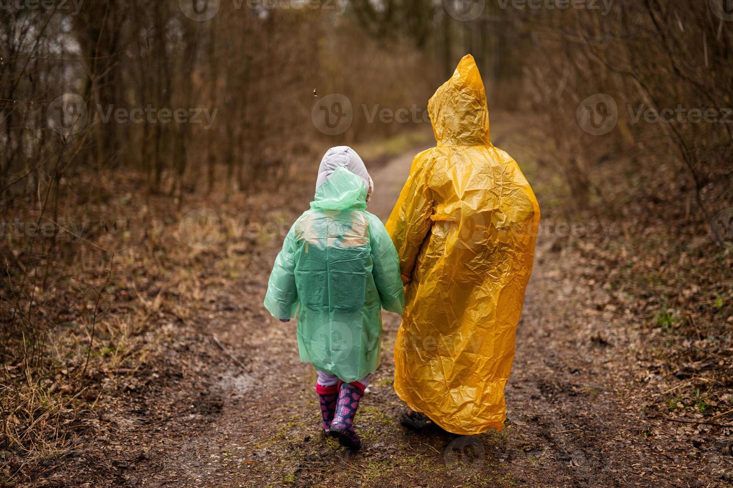 Rear view of  brother and sister in raincoats walking in the forest after rain. photo