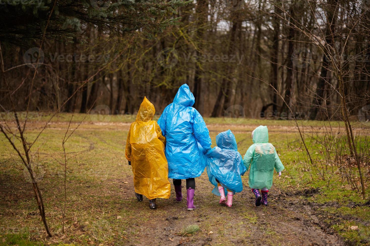 Rear view of mother and three children walking in the forest after rain in raincoats together. photo