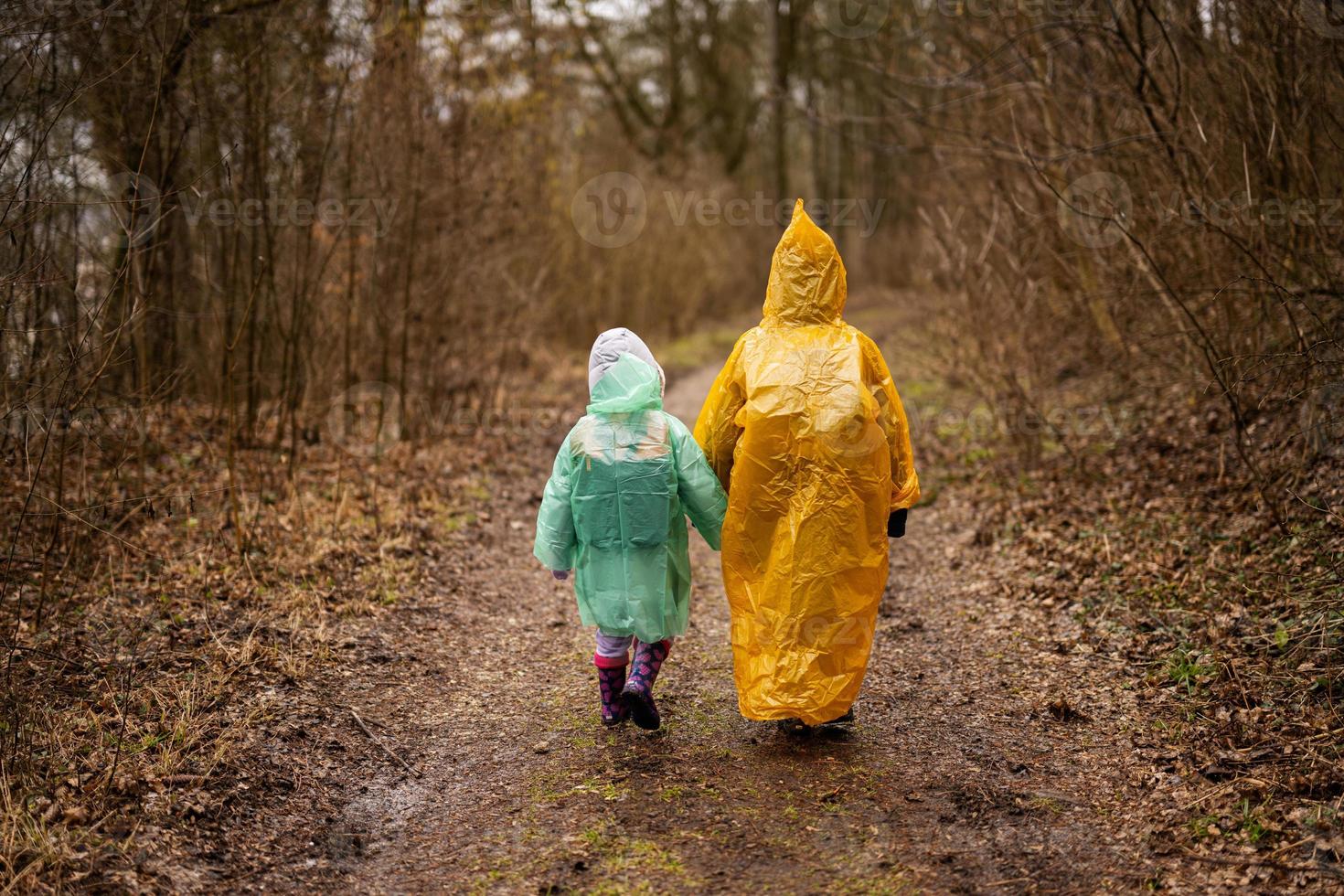 Rear view of  brother and sister in raincoats walking in the forest after rain. photo