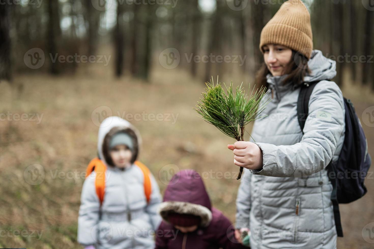 madre muestra un conífero rama a el muchachas en bosque. foto