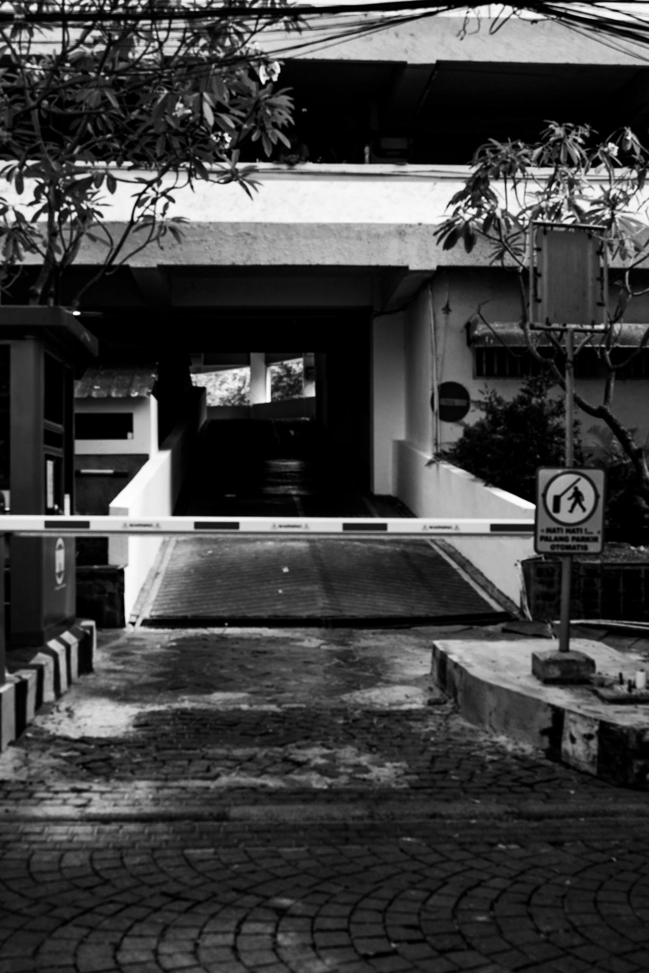 Automatic gate park for a car Security system for building and car