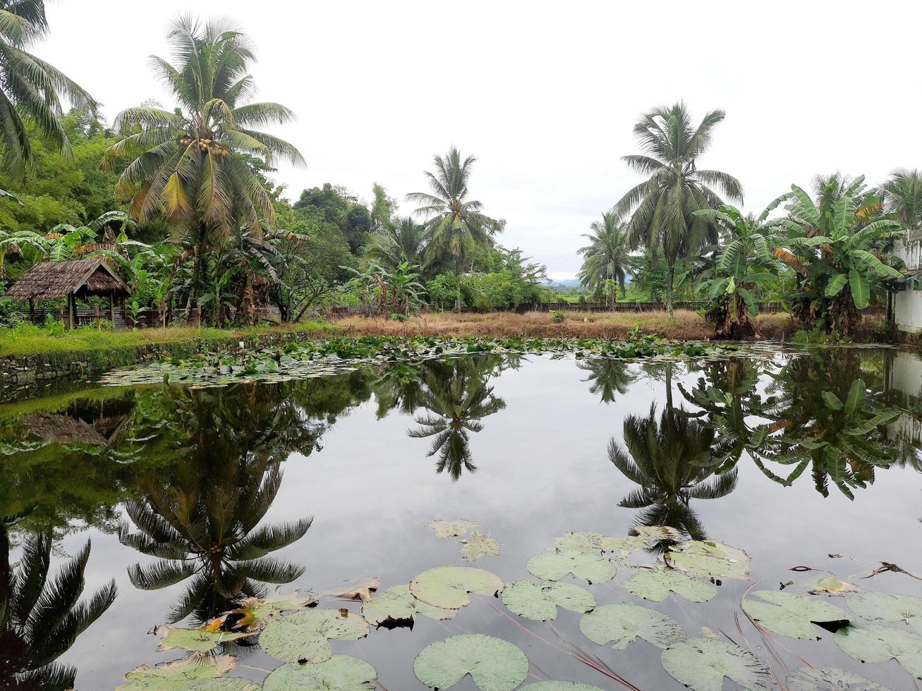 el natural paisaje en un tropical pueblo foto