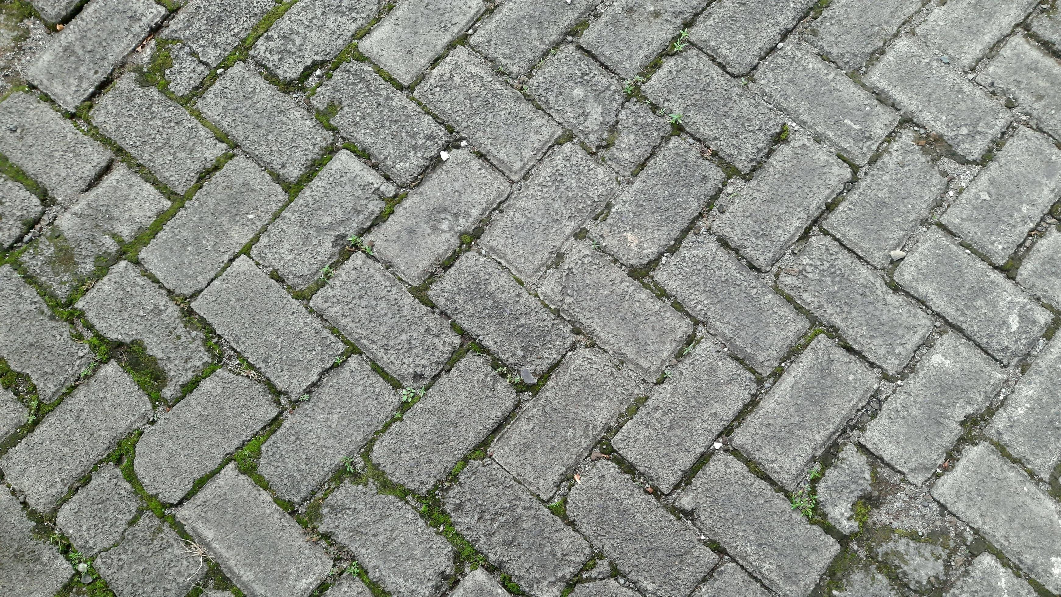 The landscape wallpaper features a block paving theme, with moss