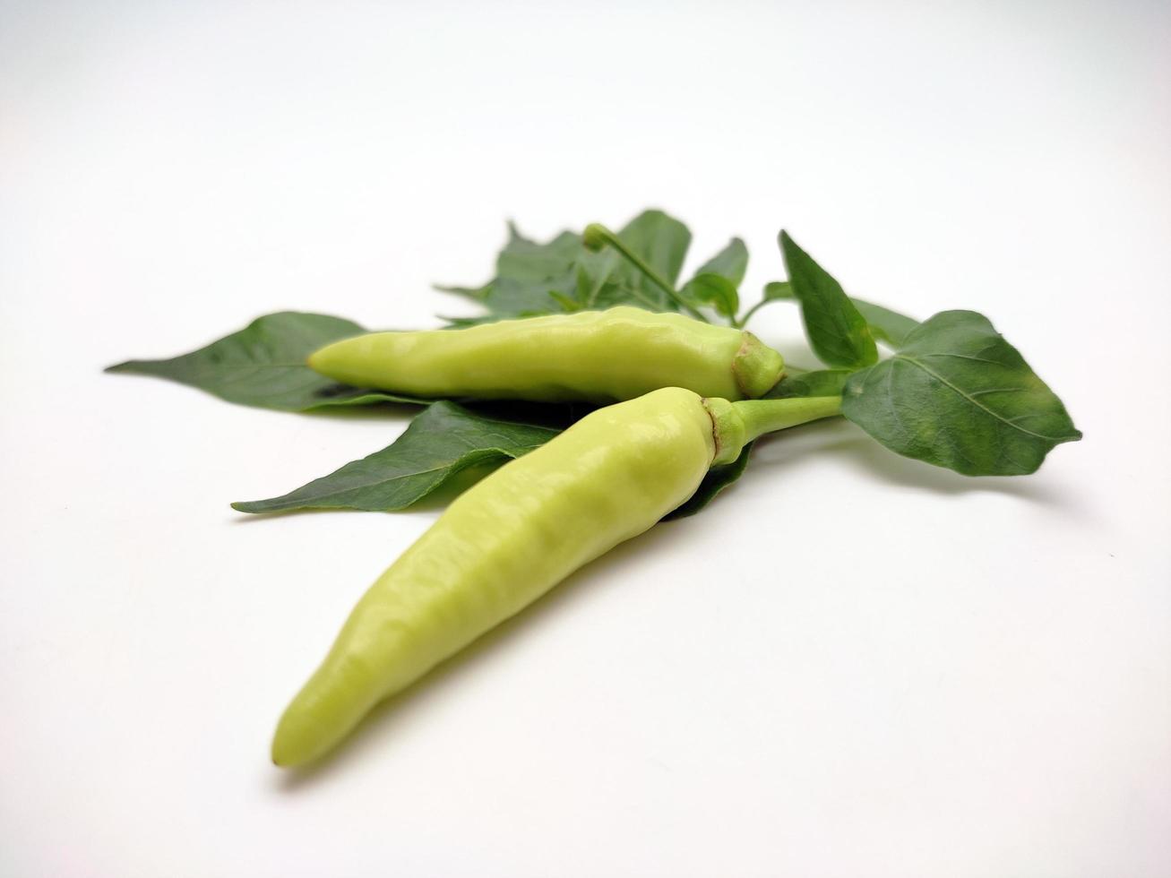 Light green chili pepper isolated on white background photo