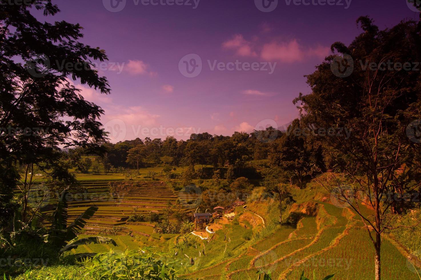 landscape of rice fields in the mountains from the top of the hill with sunny weather photo