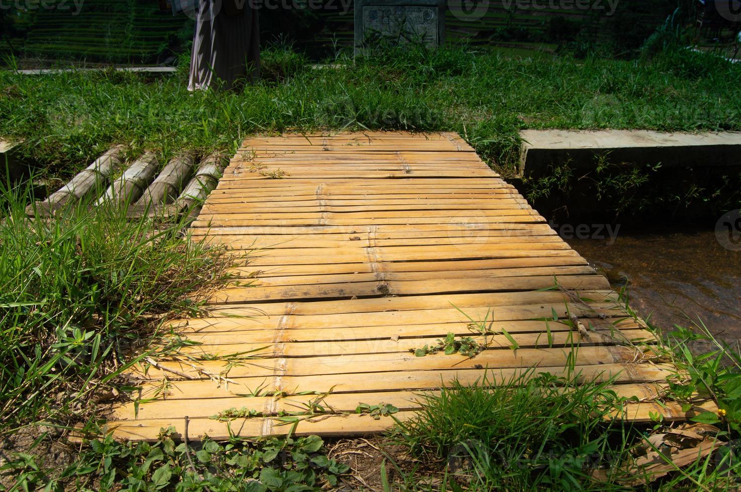 wooden bridge of arranged bamboo photo