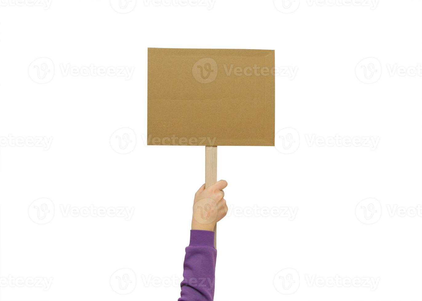 Woman's hand holding blank banner mock up on wood stick isolated. Empty board plank with space for shouting text rule or protest word. photo
