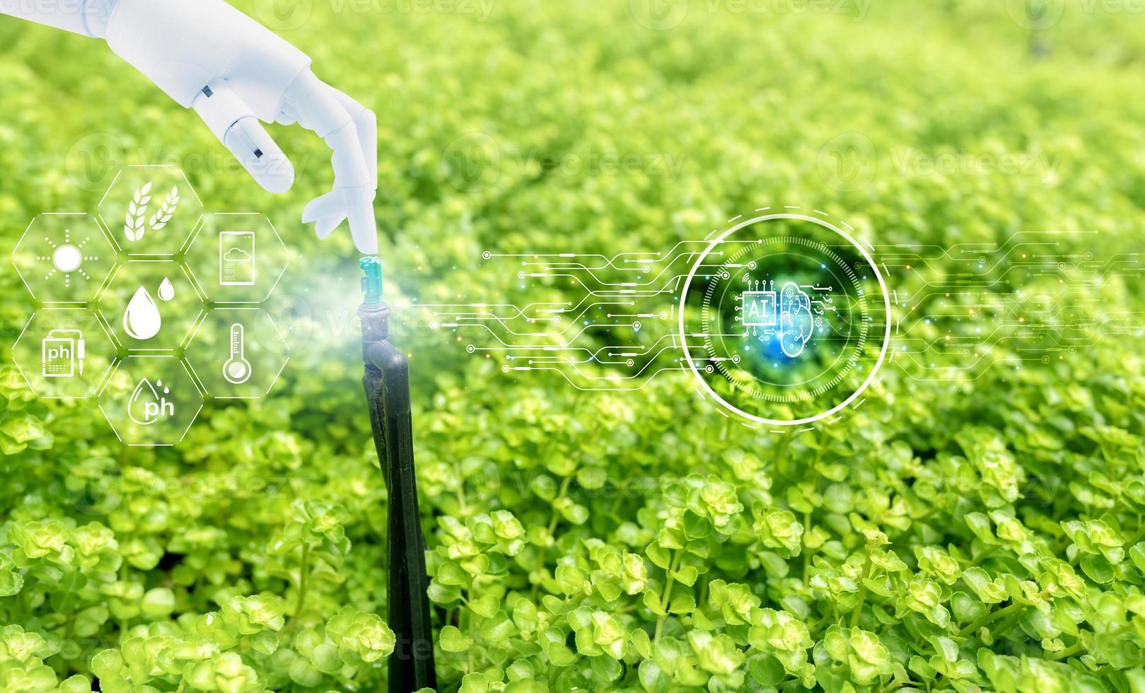 Robot hand touch automatic lawn sprinkler and icon of smart farming concept. Smart agriculture with modern technology concept. Sustainable agriculture. Precision agriculture. Climate monitoring. photo