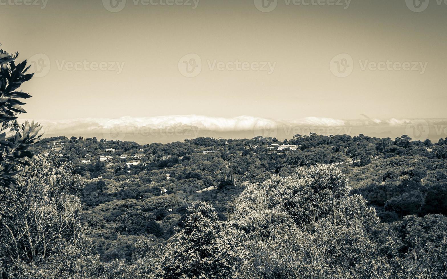 Panoramic view of Cape Town and nature, Kirstenbosch. photo