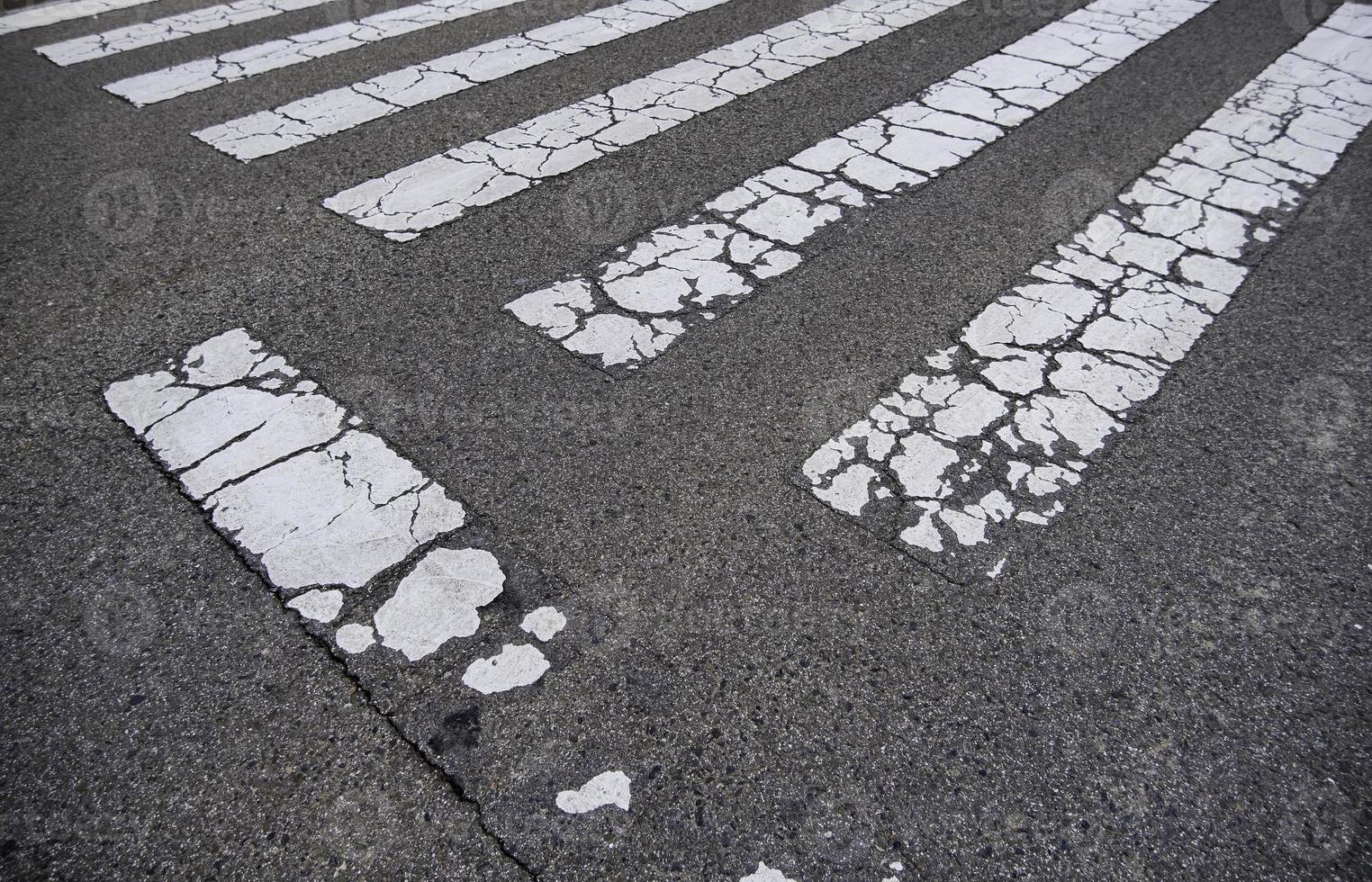 Zebra crossing on the asphalt photo