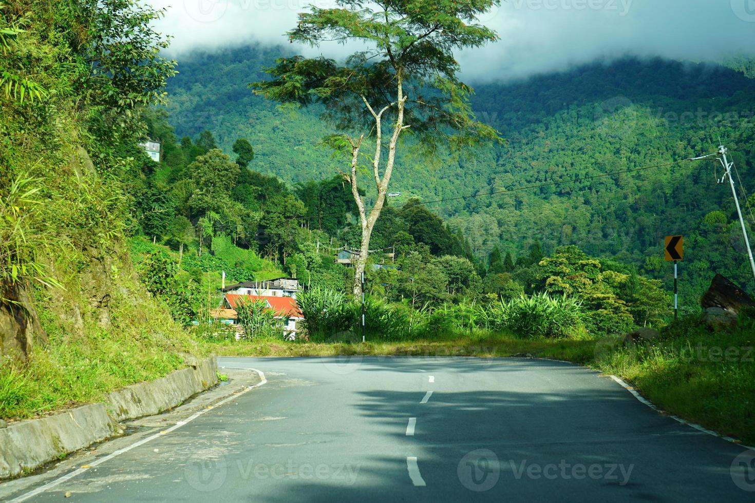 Road and Greenery Nature of Himalayan Range Village photo