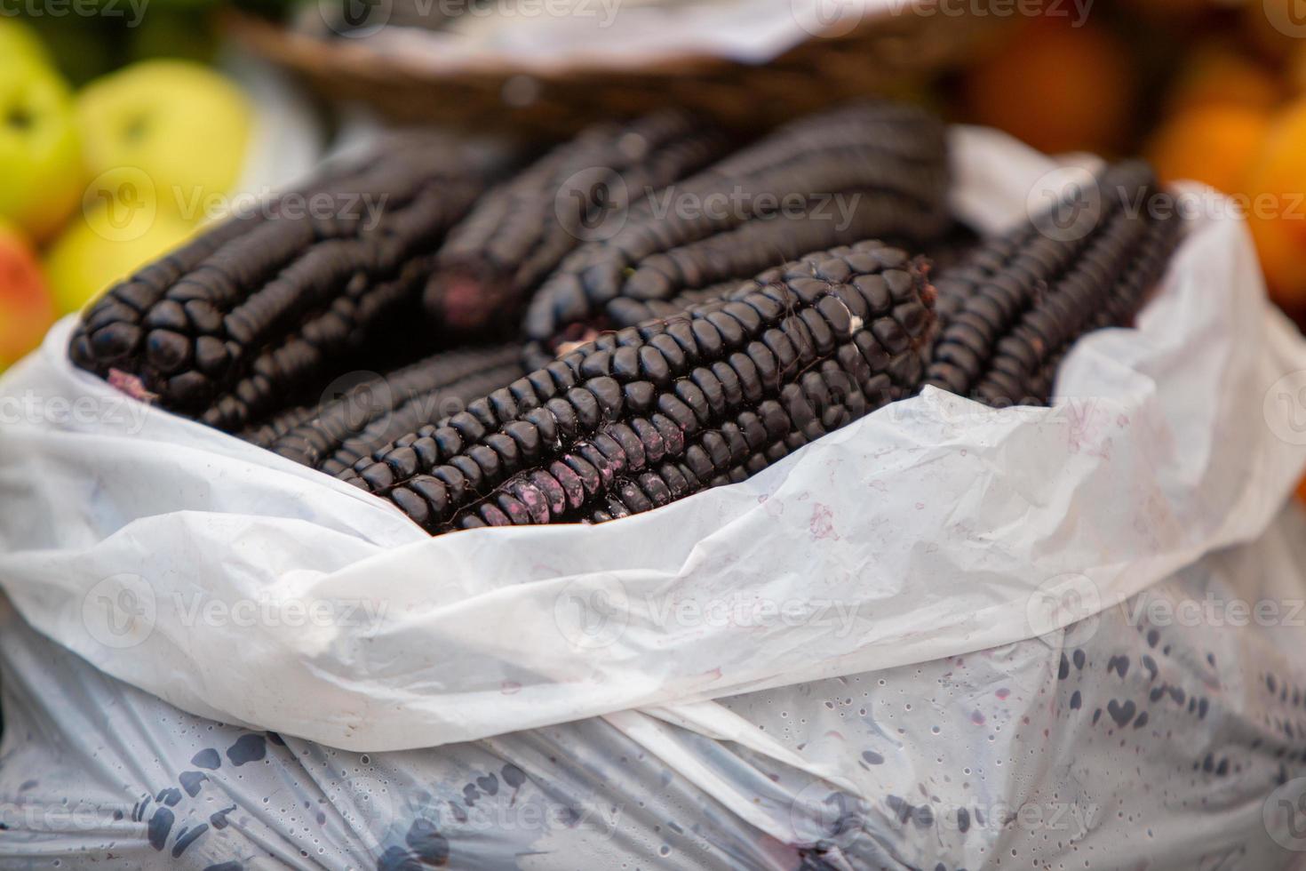 Fresh Black Corn photo