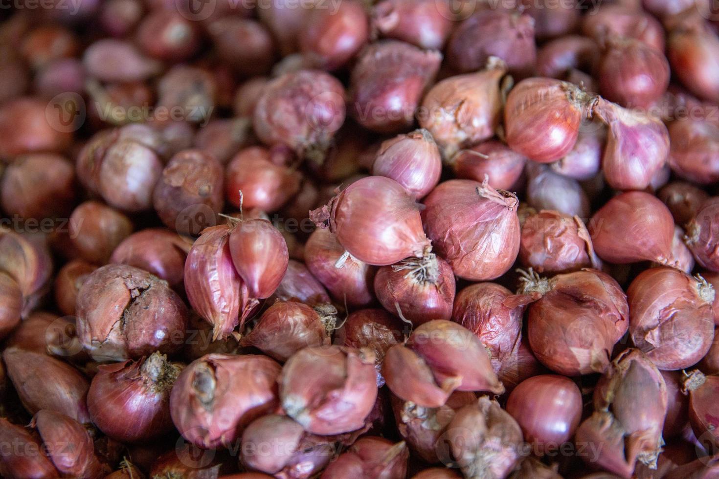 Bunch of Shallots photo