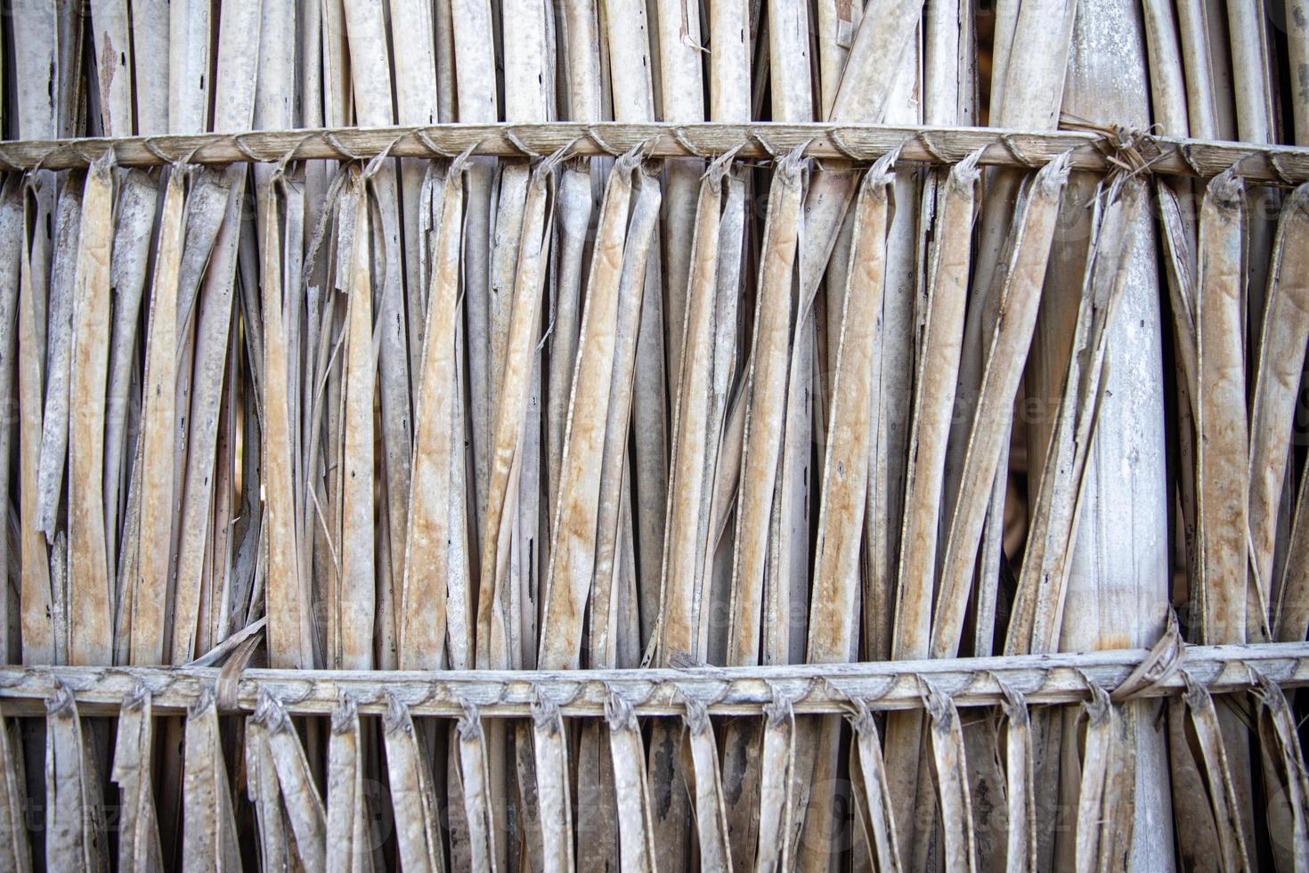 Wall of Dried Palm leaves photo