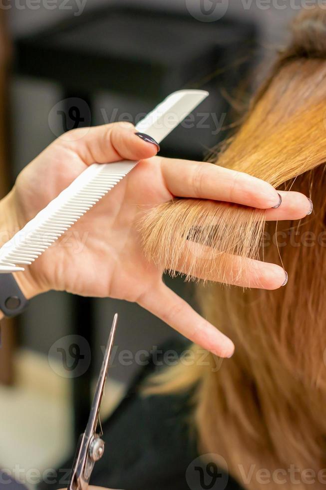 Hairdresser cuts hair to young woman photo