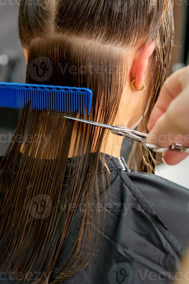 Hairdresser cutting long hair of woman photo