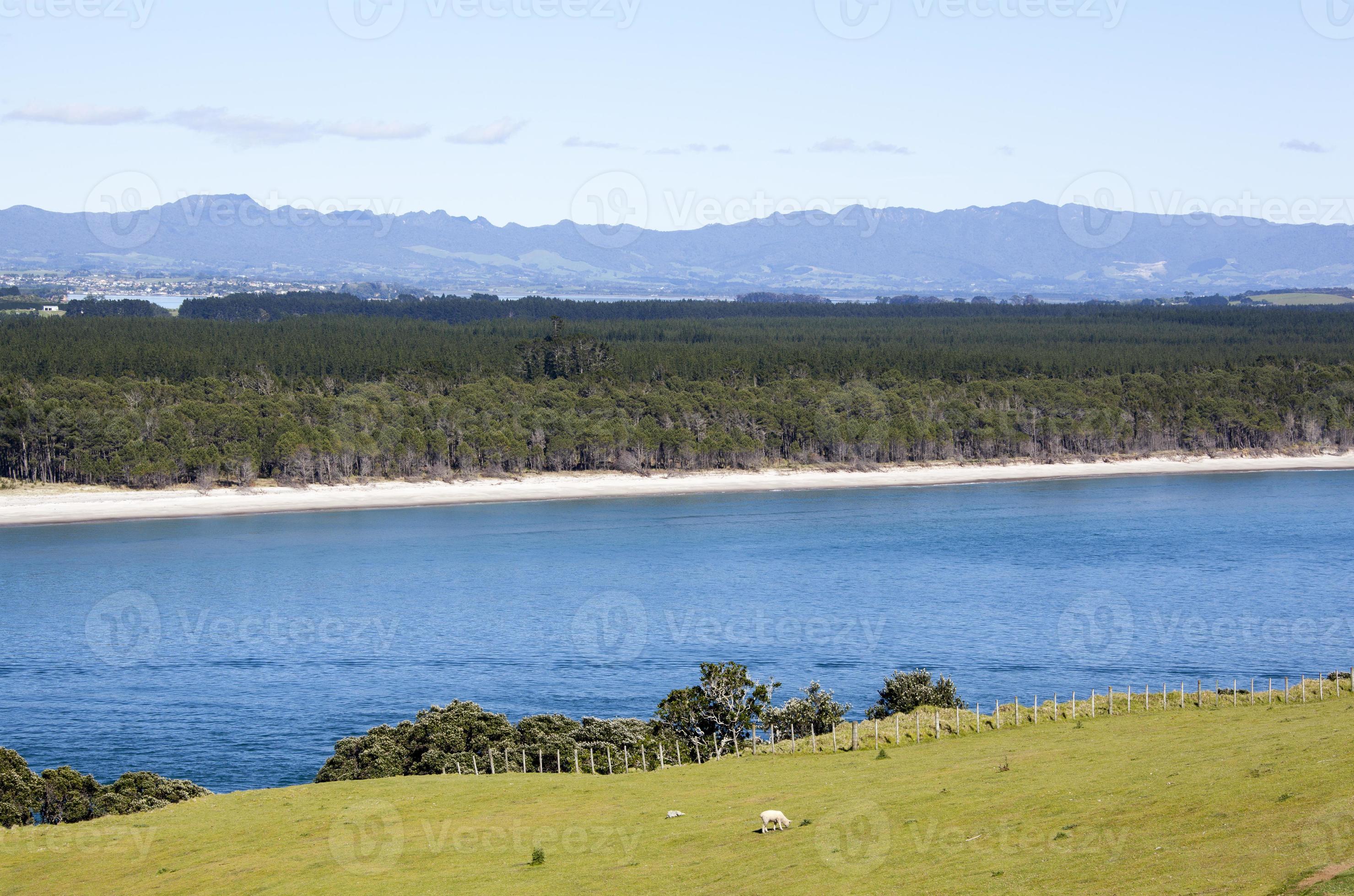 Matakana Island From Mount Maunganui Town Park 20826149 Stock Photo at