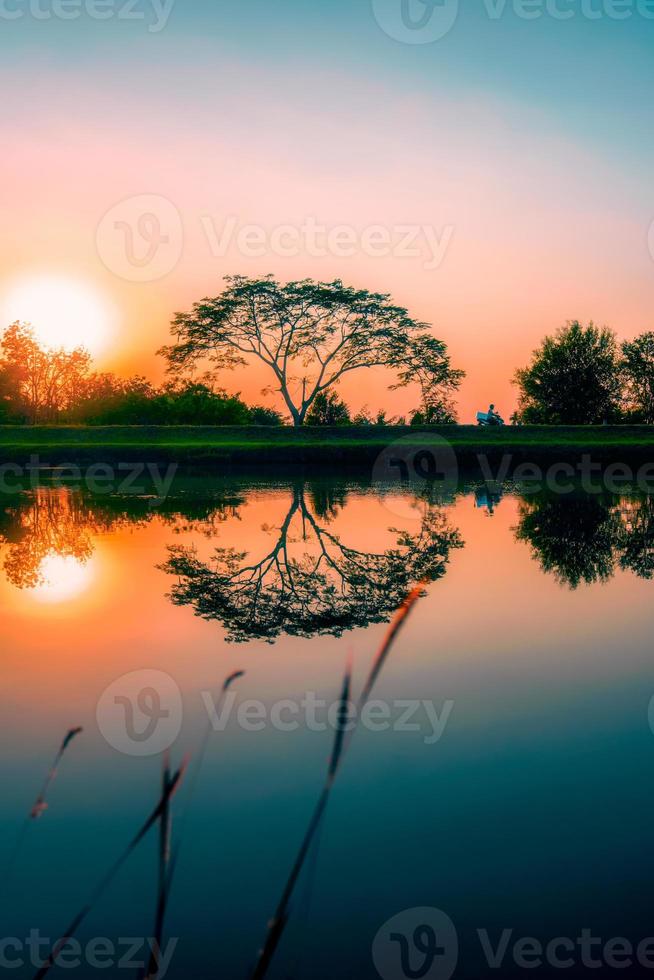 Trees by the canal at sunset, water reflection photo