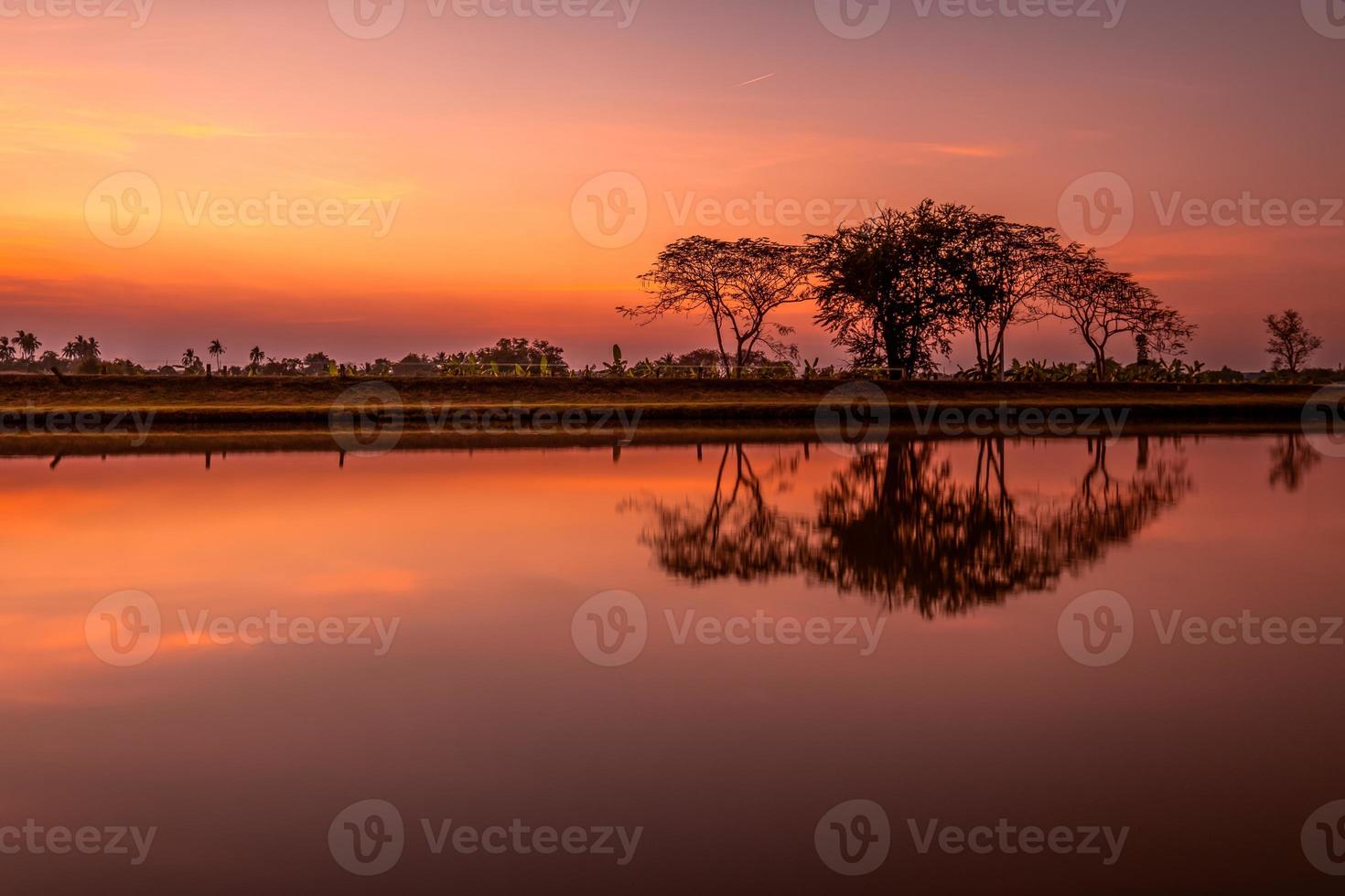 Trees by the canal at sunset, water reflection photo