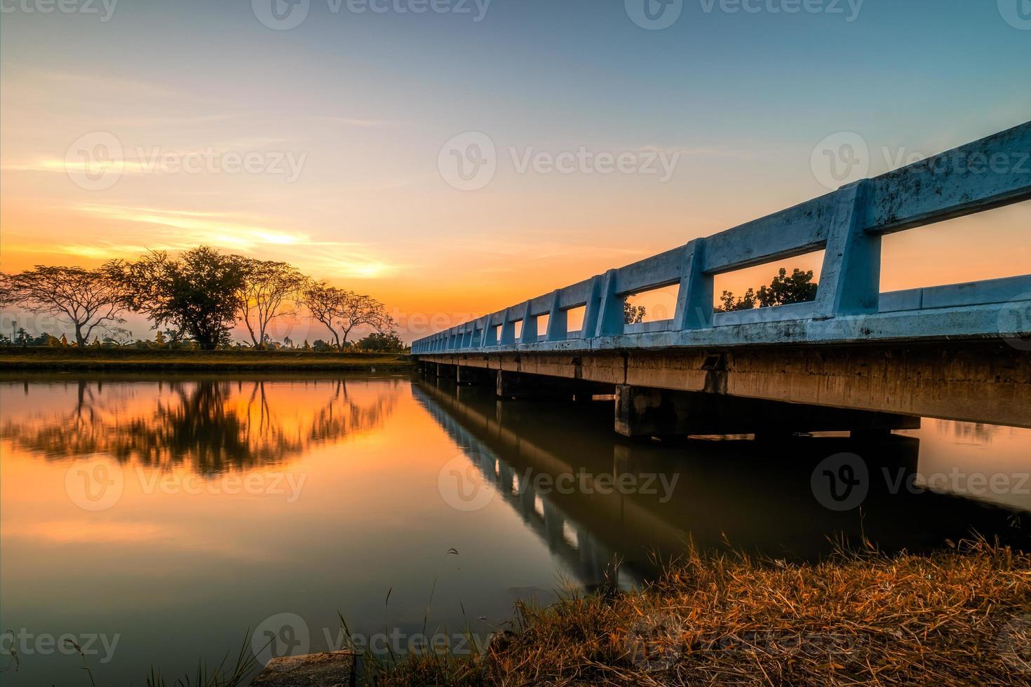 bridge over the canal tree by the canal at sunset photo