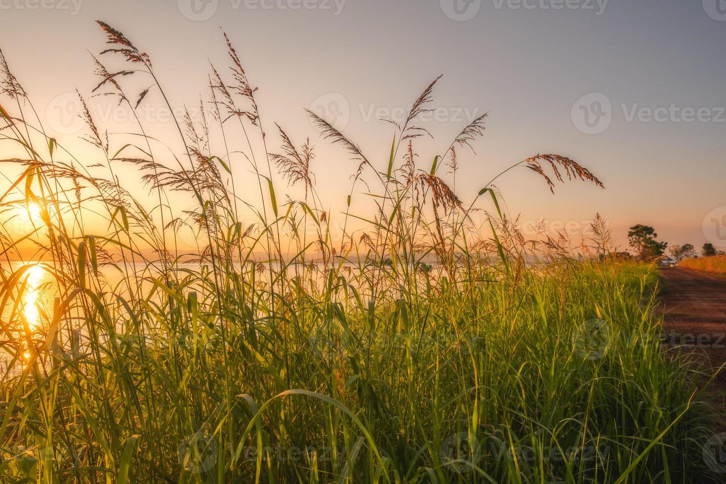 On the shore of the lake in the late afternoon photo