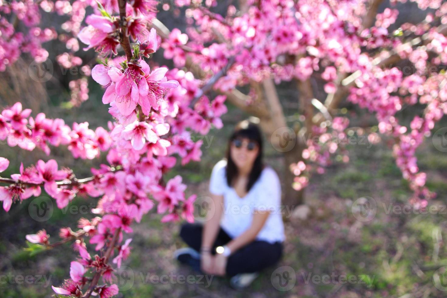 Face of young beautiful woman with pink flowers of peach tree. photo