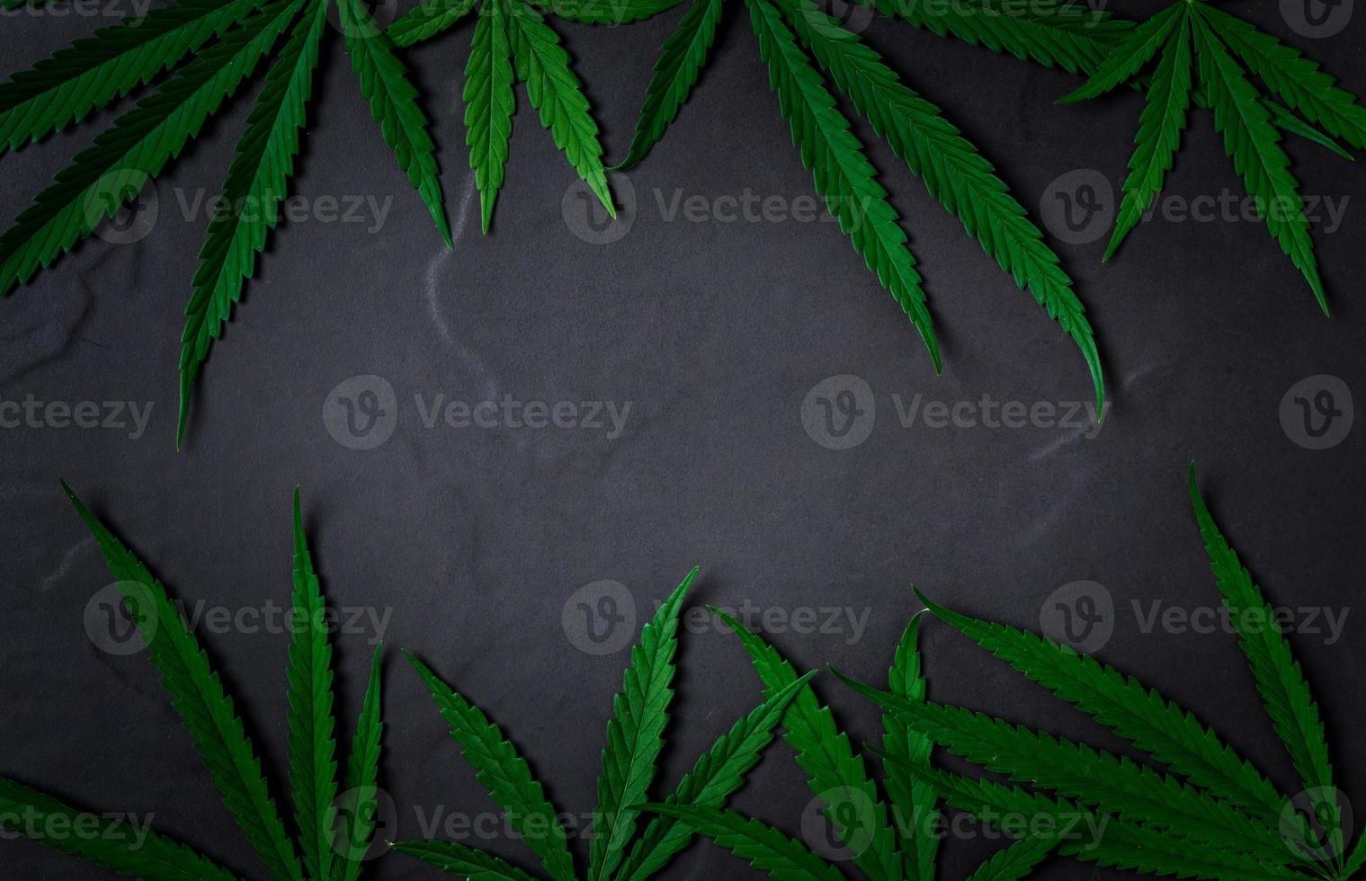 Cannabis leaves on black stone background, photo