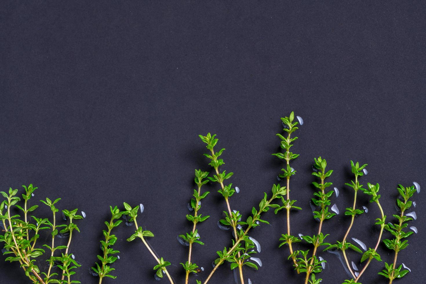 Thyme leaves on black table background, herbs photo