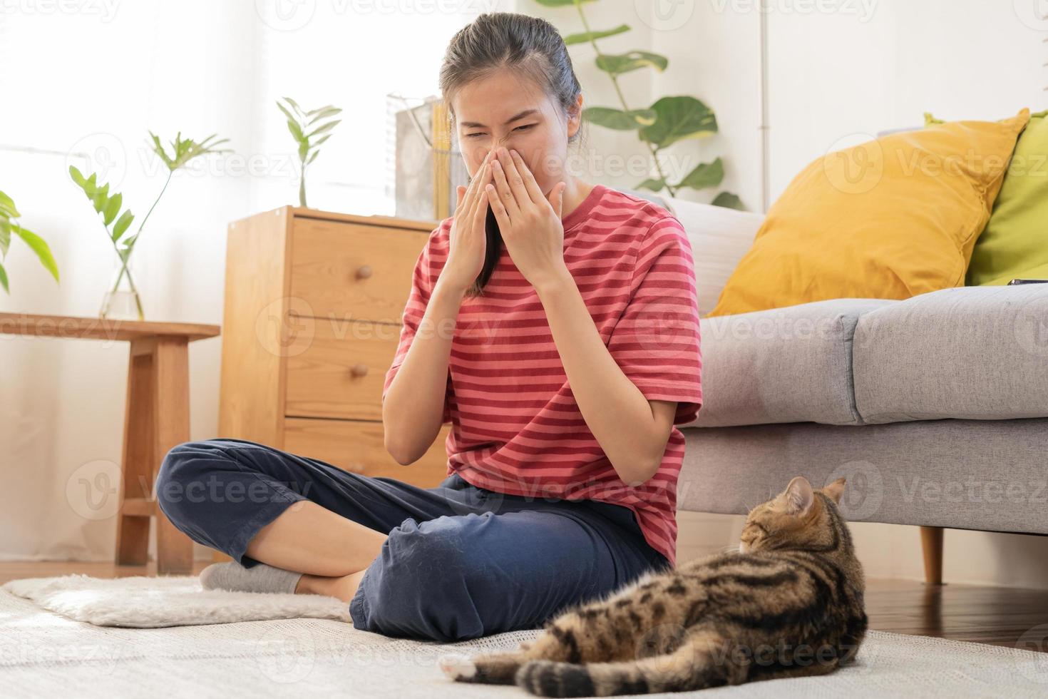 Asian young woman, girl hand in sneezing from fur allergy while playing with her lovely cat, pet on carpet in living room at home, apartment. Health care rhinitis diseases allergic to animal hair. photo