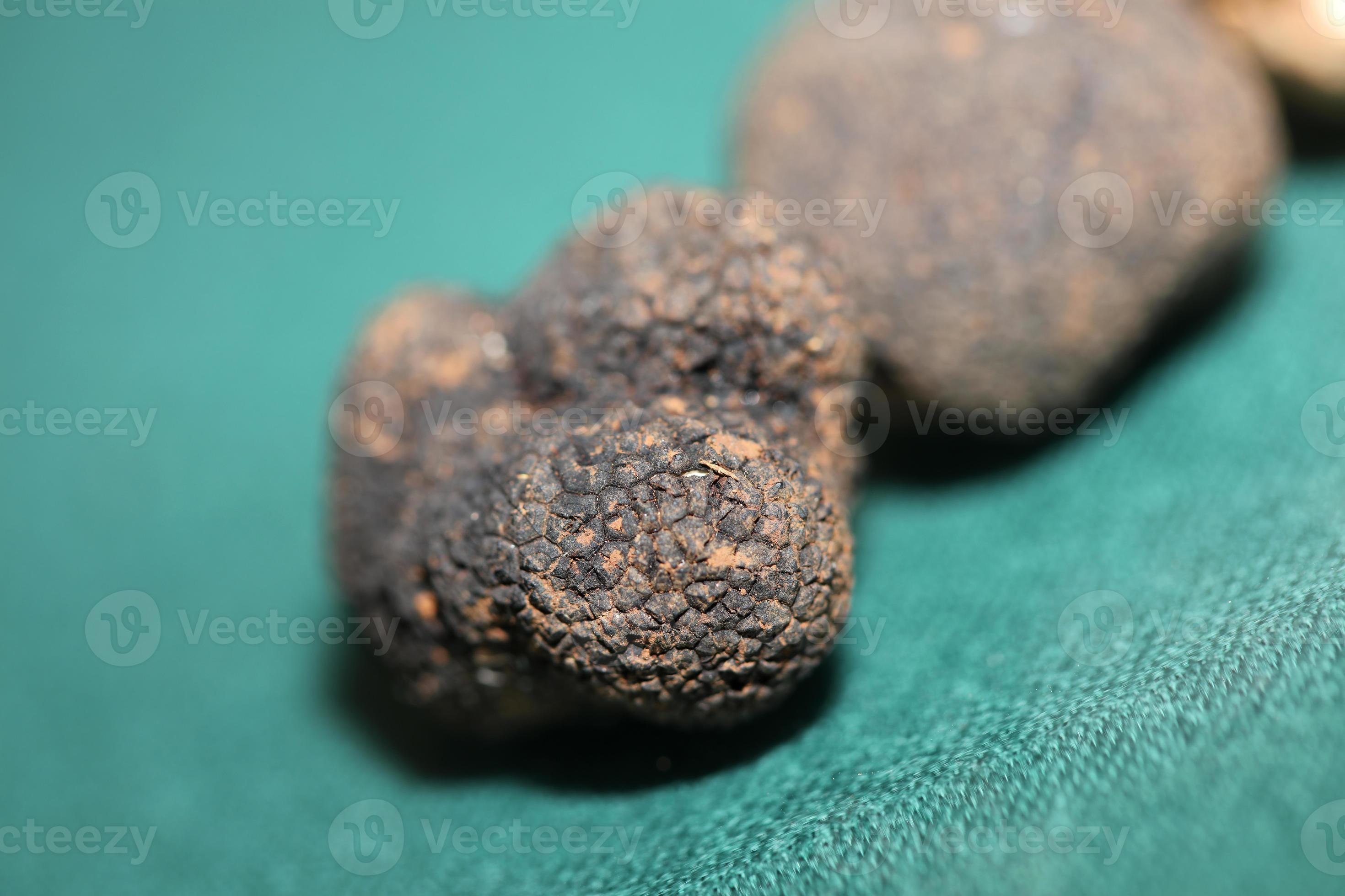 Black truffles mushrooms close up background tuber aestivum family