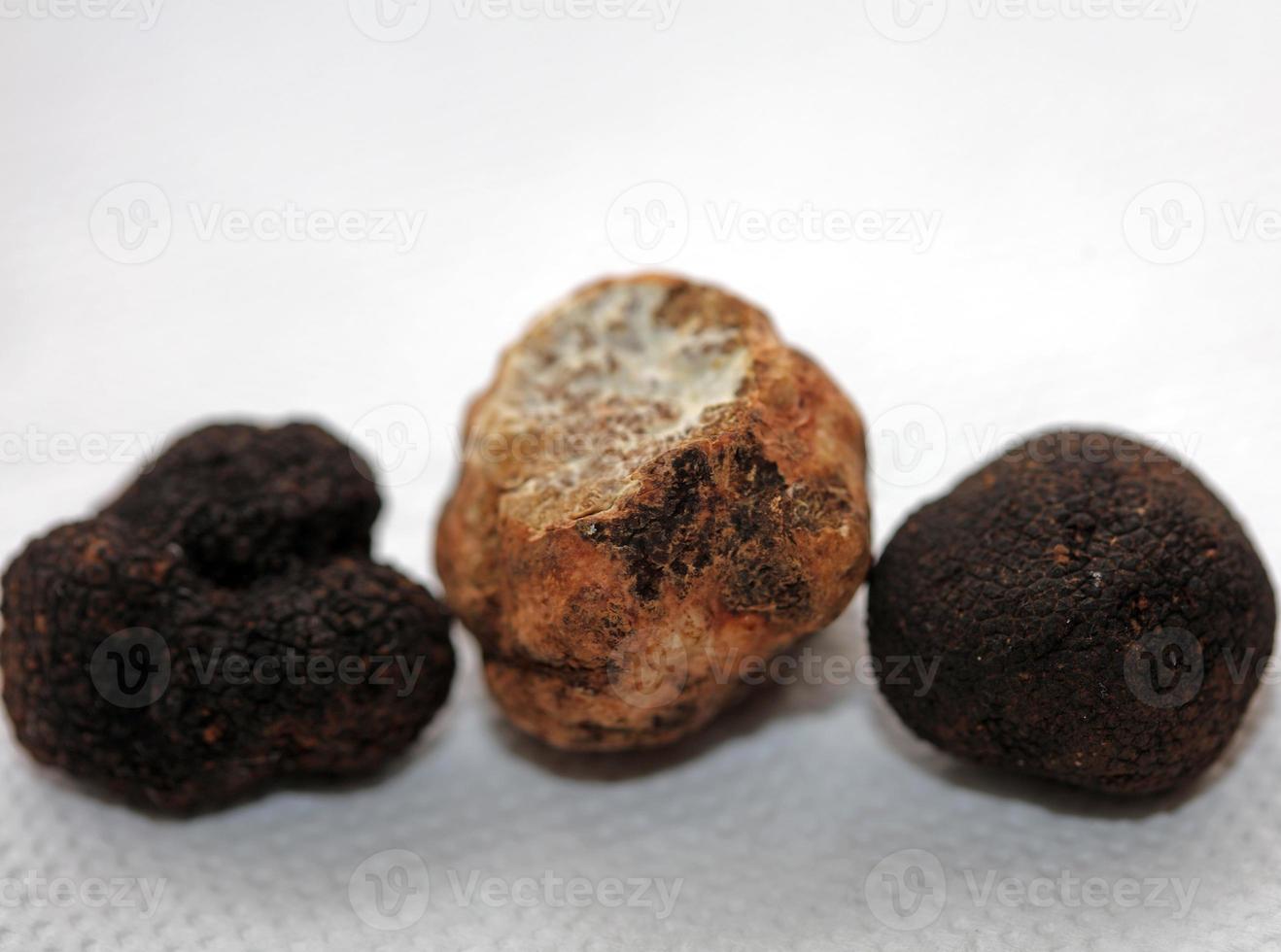 blanco y negro trufas seta cerca arriba antecedentes botánico huellas dactilares tubérculo magnatum aestivum familia tuberáceas grande Talla alto calidad imagen foto