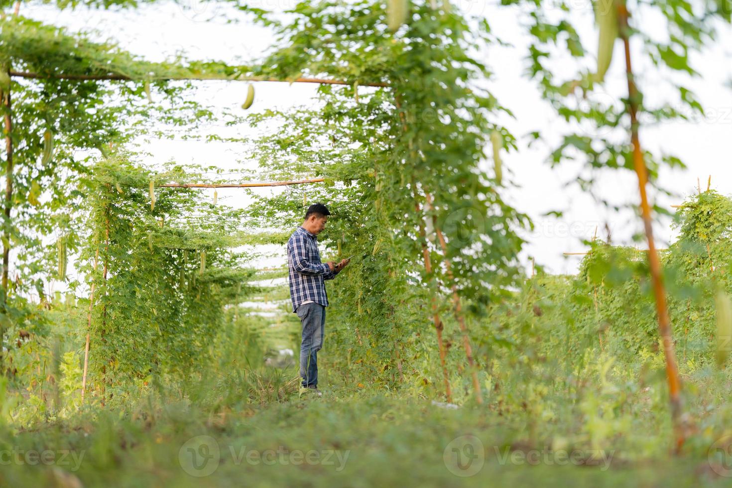 Agricultural Research Officer photo