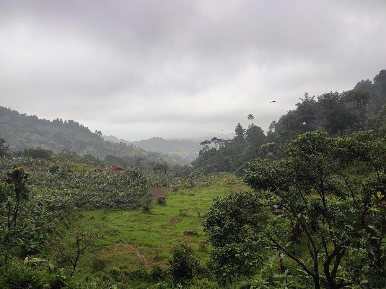 Mountain landscape photo with farmer fields.