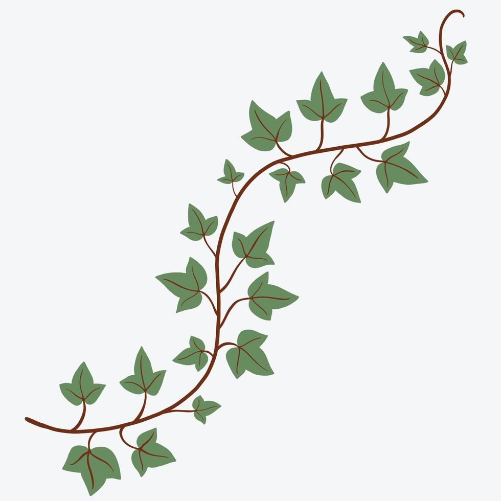 Floral ivy drawing decorative ornament flat design. vector