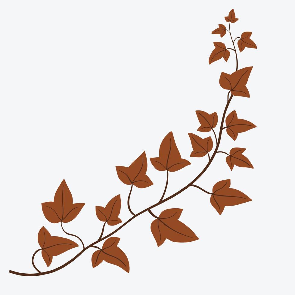 Floral ivy drawing decorative ornament flat design. vector