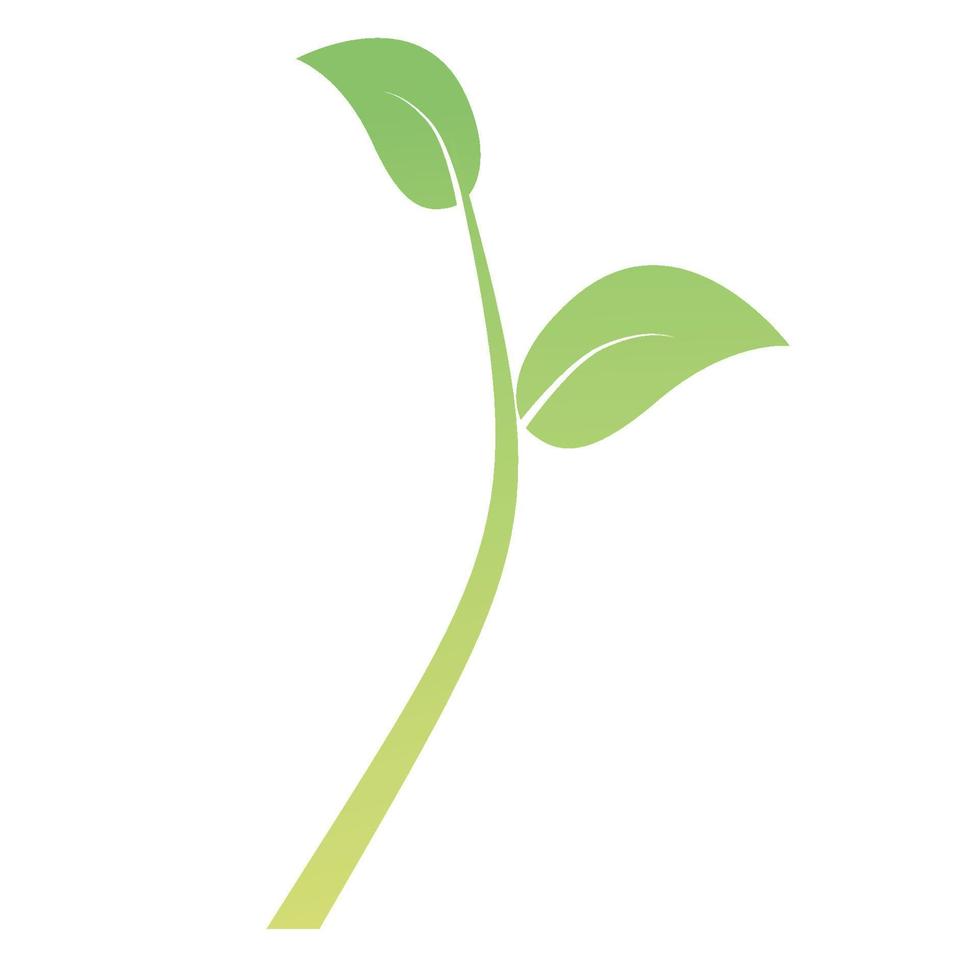 green plant isolated on white vector